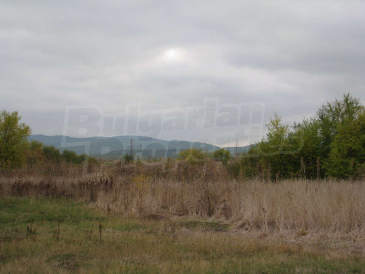 Gallery Picture 11