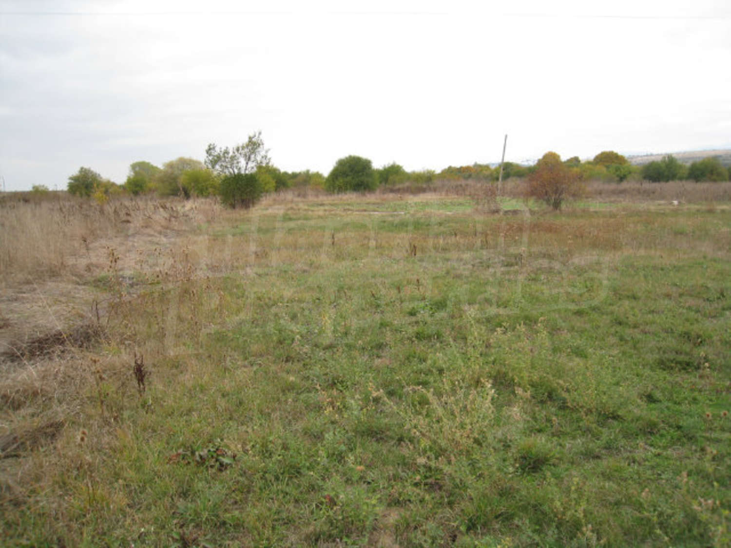 Gallery Picture 4