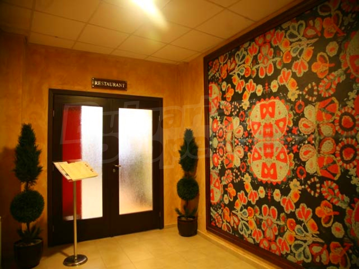 Gallery Picture 23