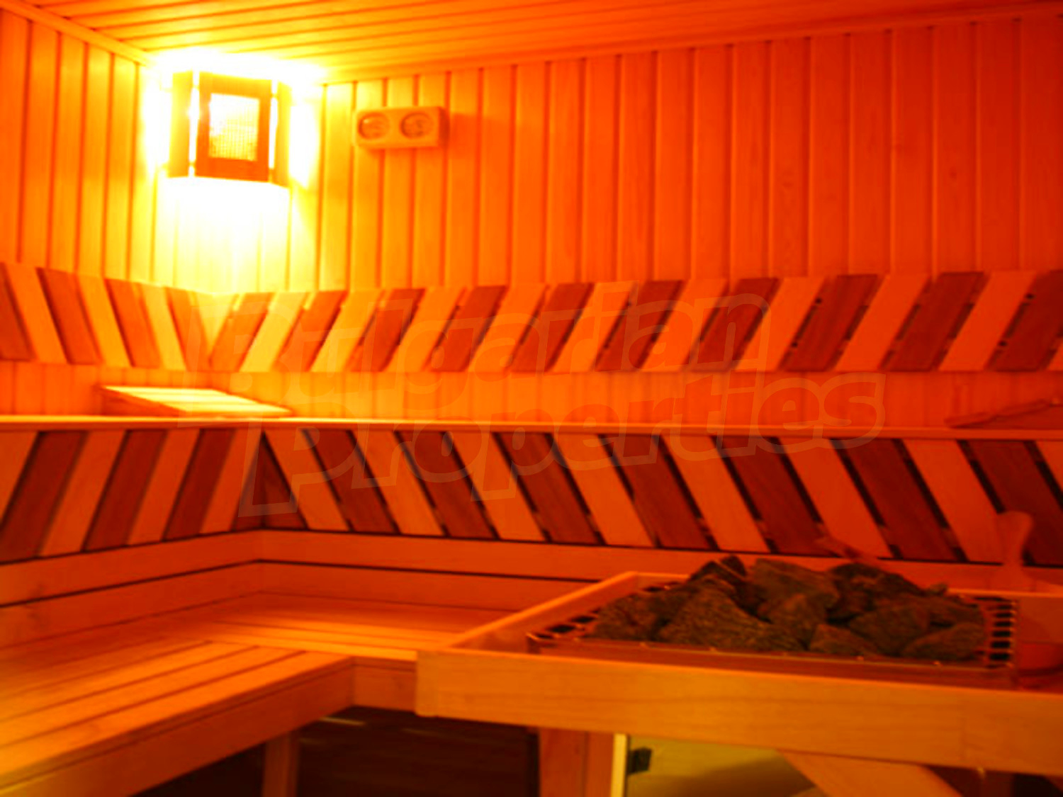 Gallery Picture 29