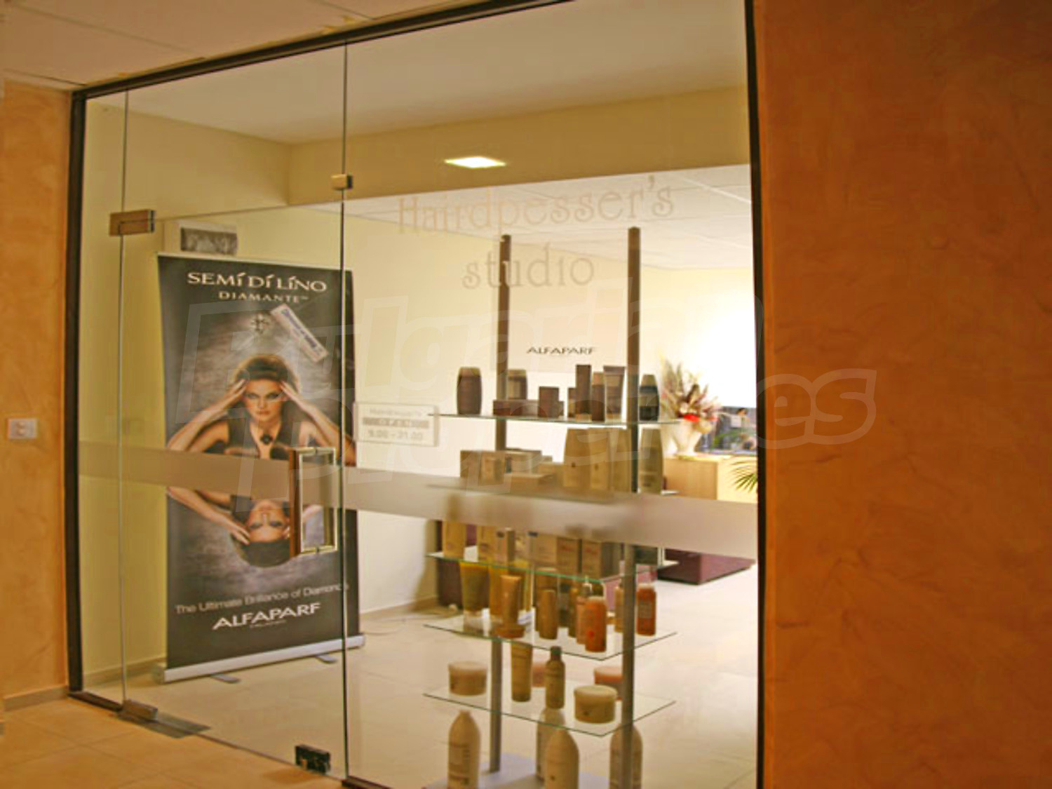 Gallery Picture 31