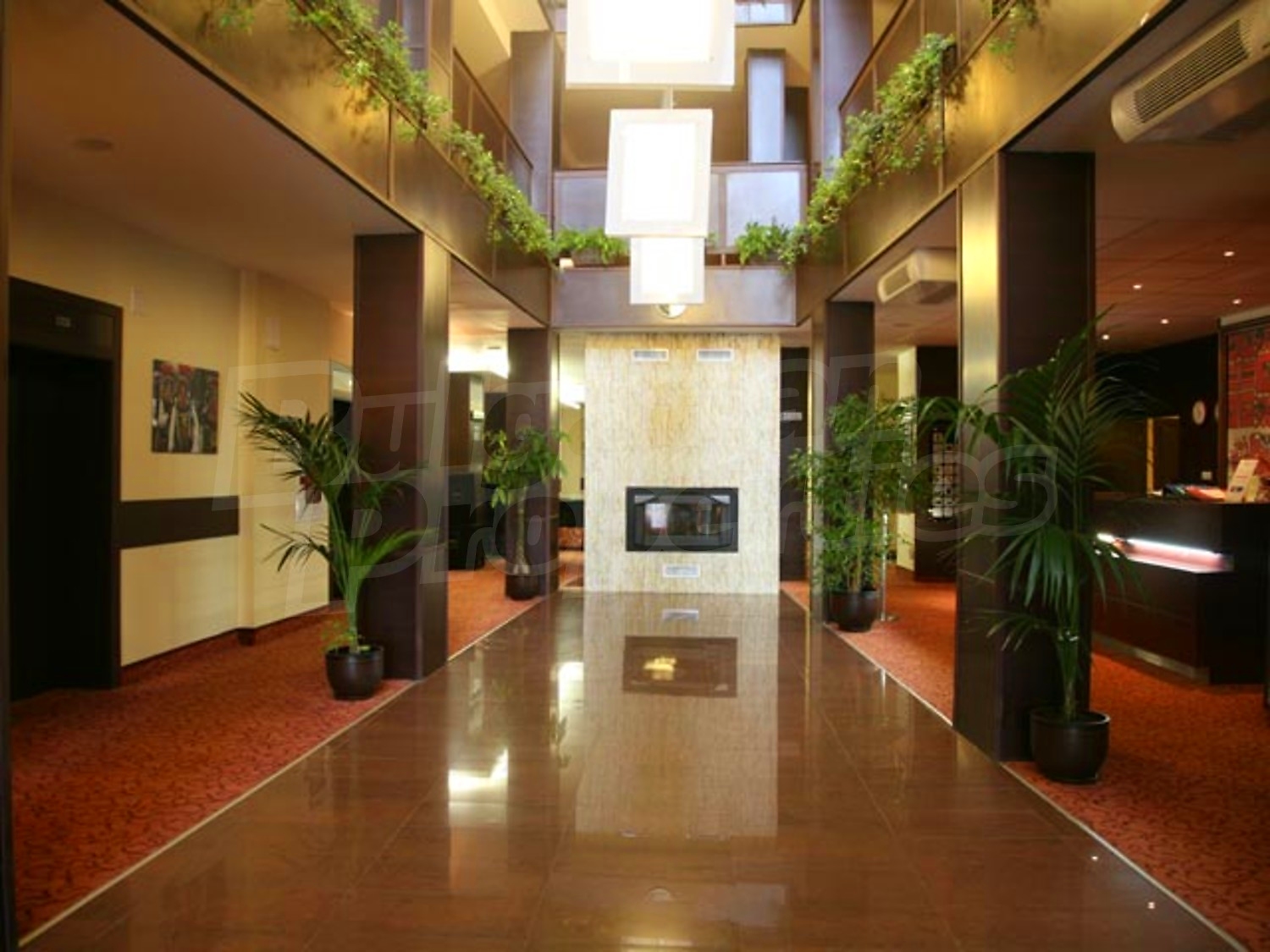 Gallery Picture 19