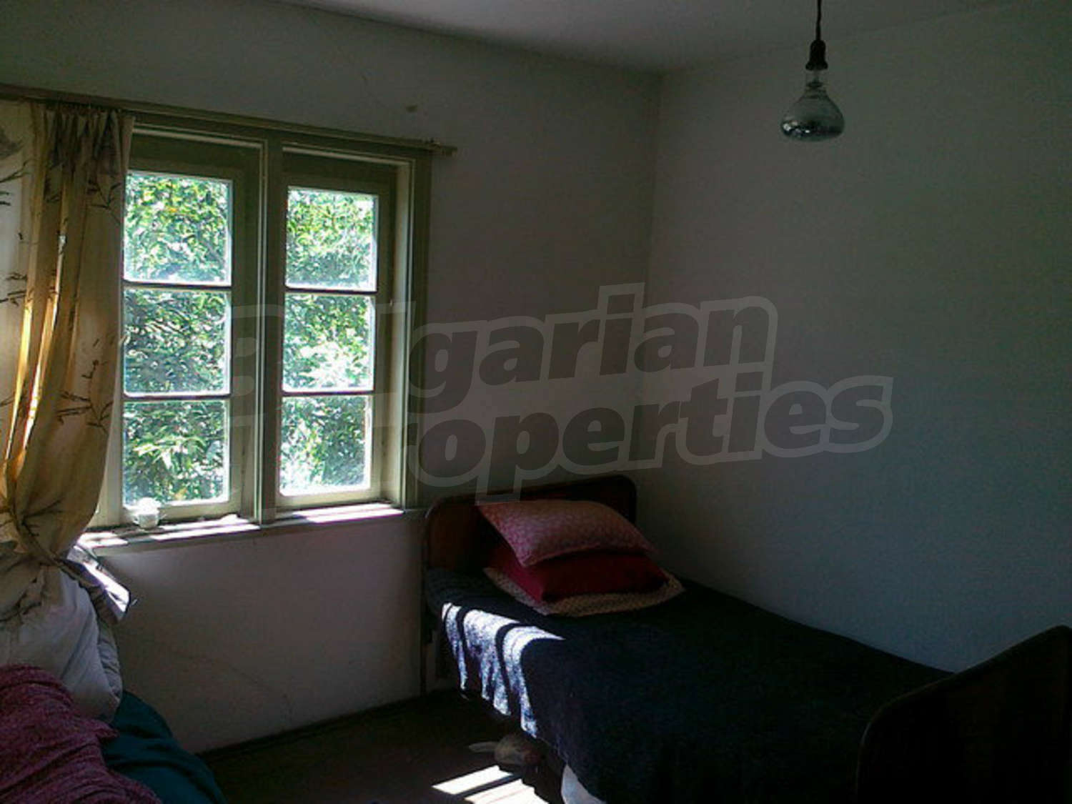 Gallery Picture 10