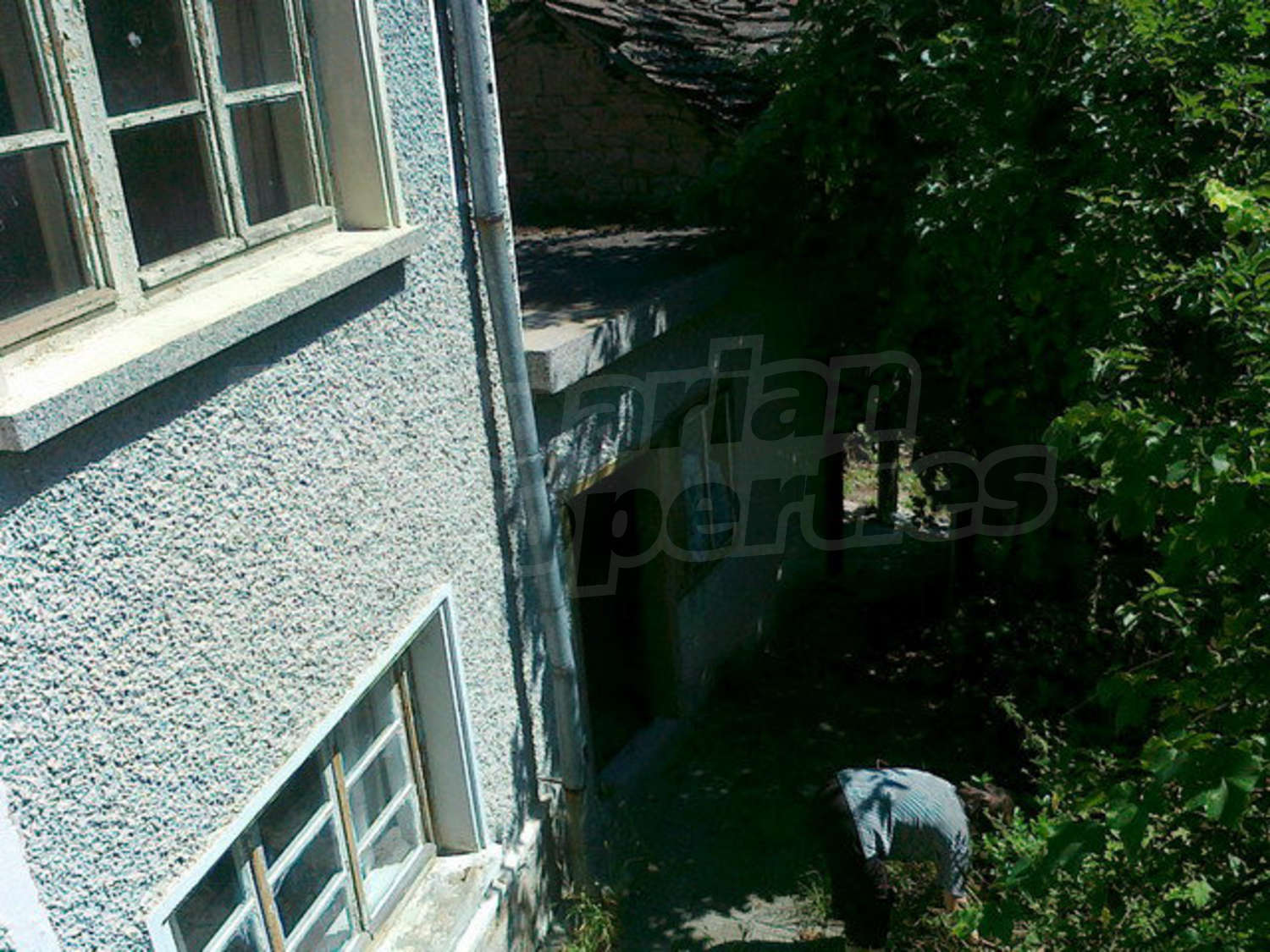 Gallery Picture 12