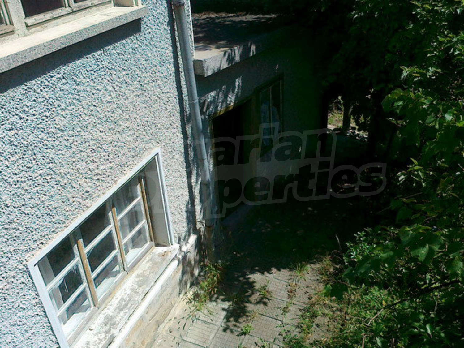Gallery Picture 14