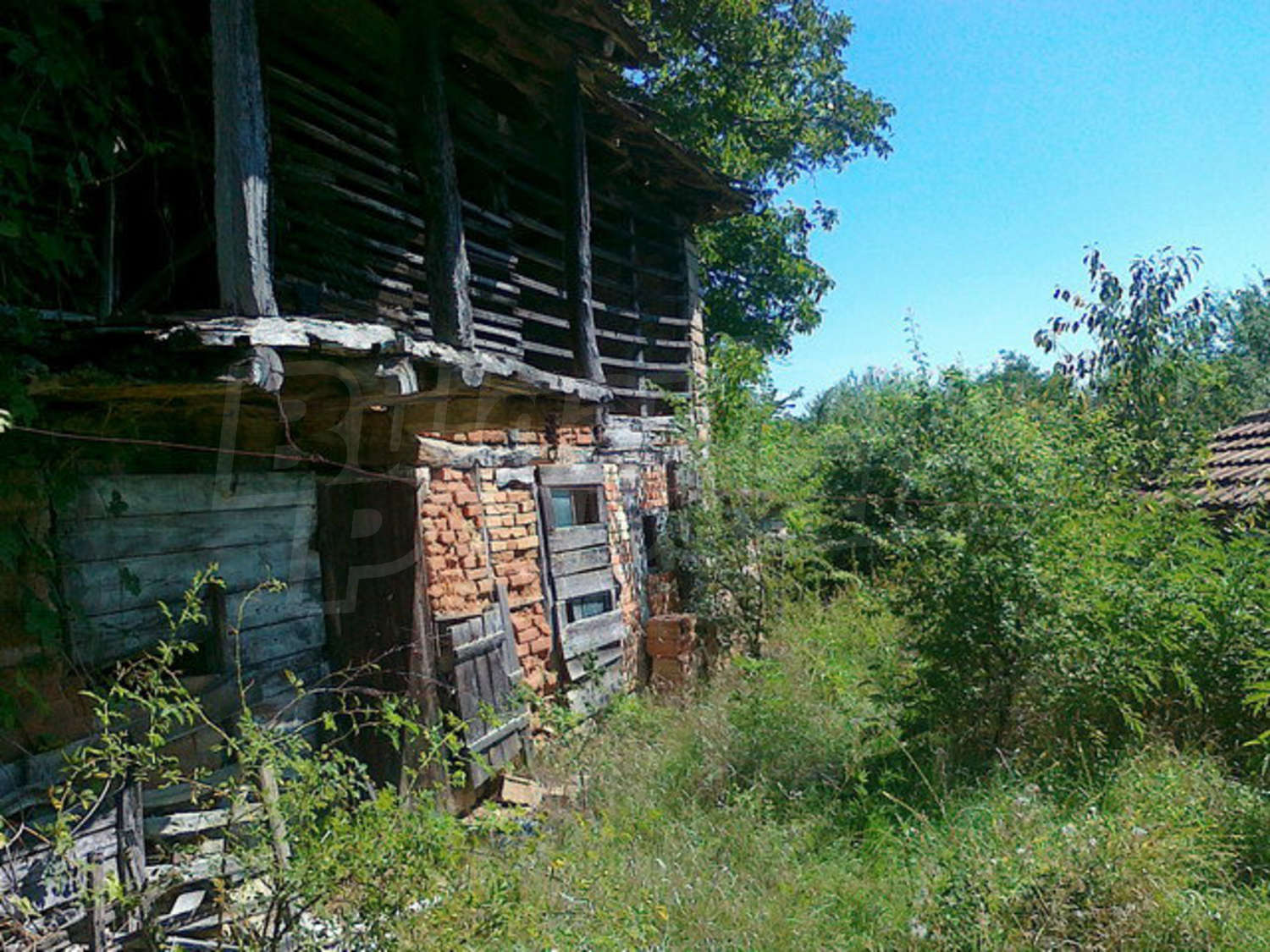 Gallery Picture 15
