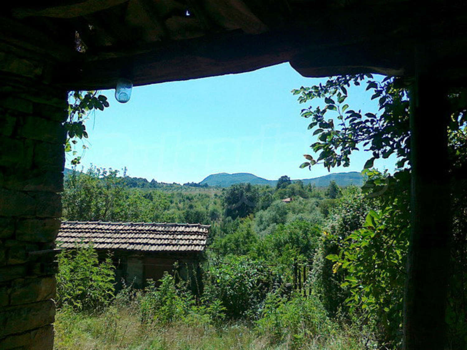Gallery Picture 17