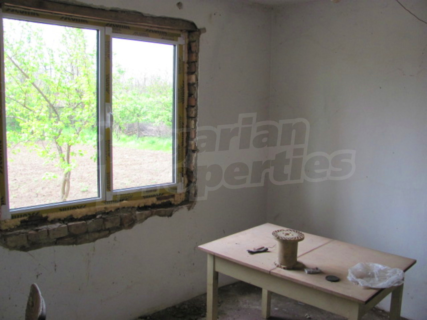 Gallery Picture 12