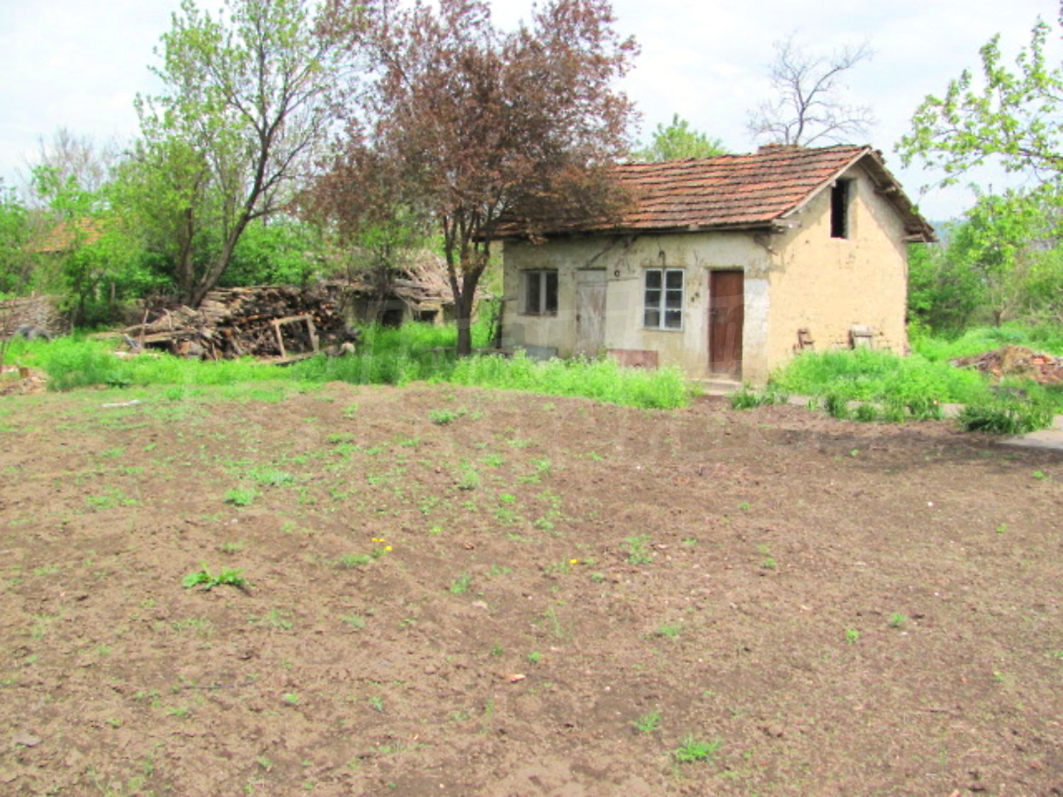 Gallery Picture 19