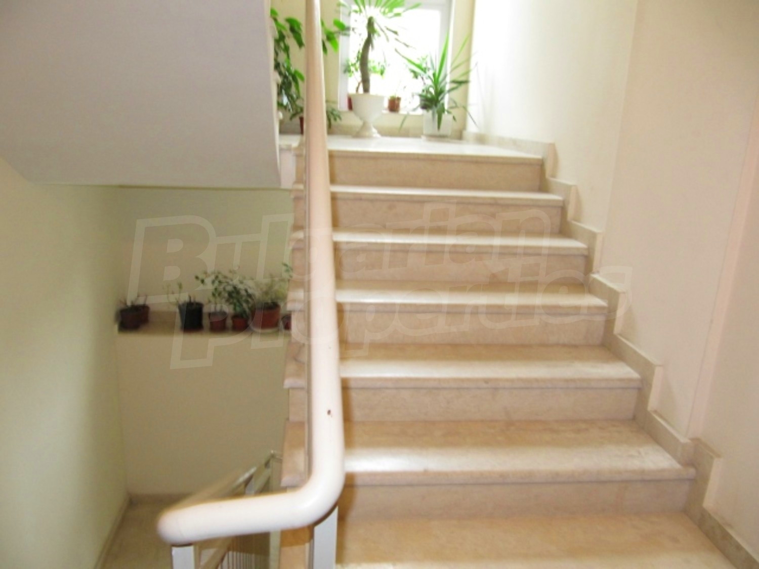 Gallery Picture 14