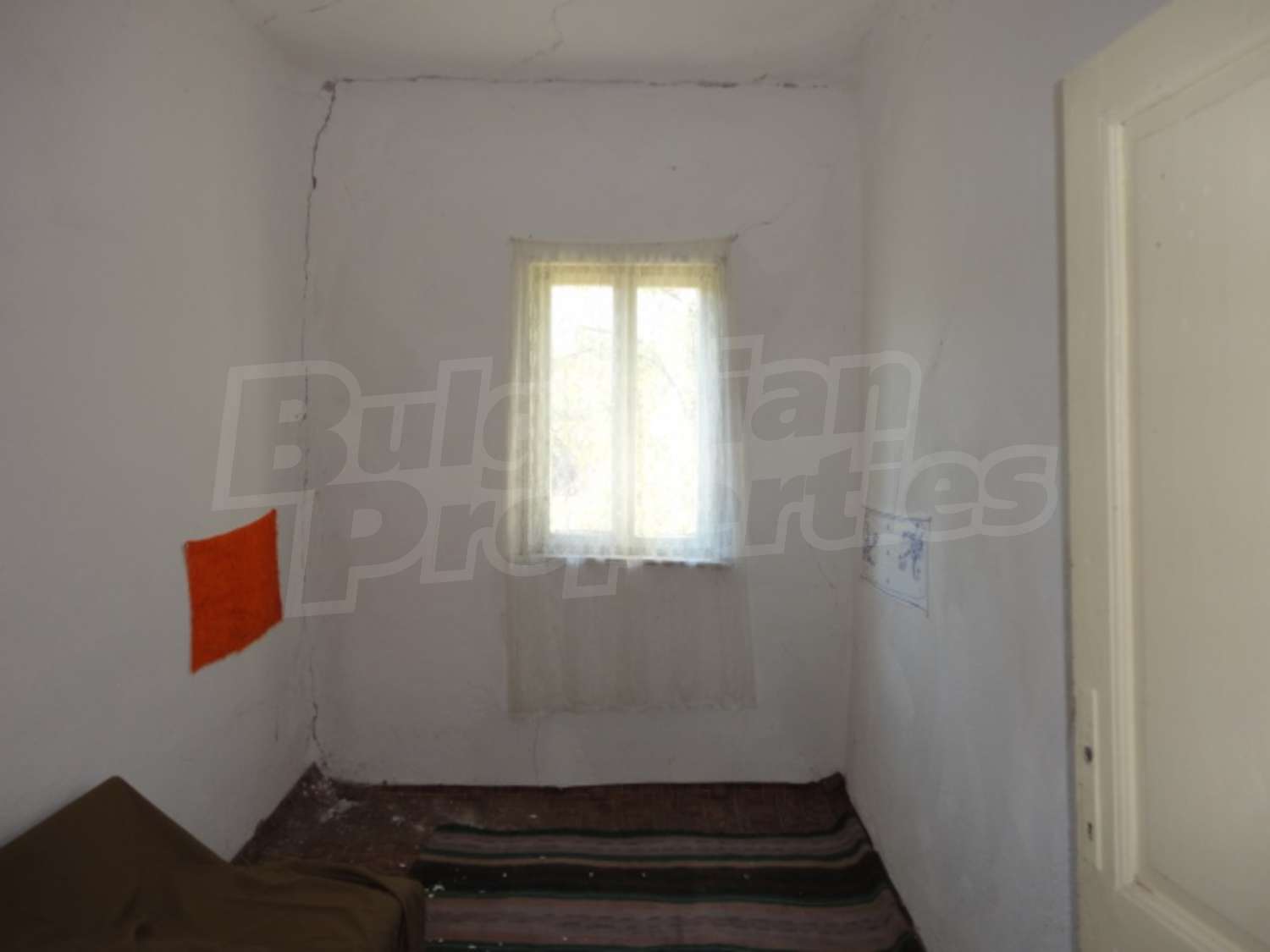 Gallery Picture 24