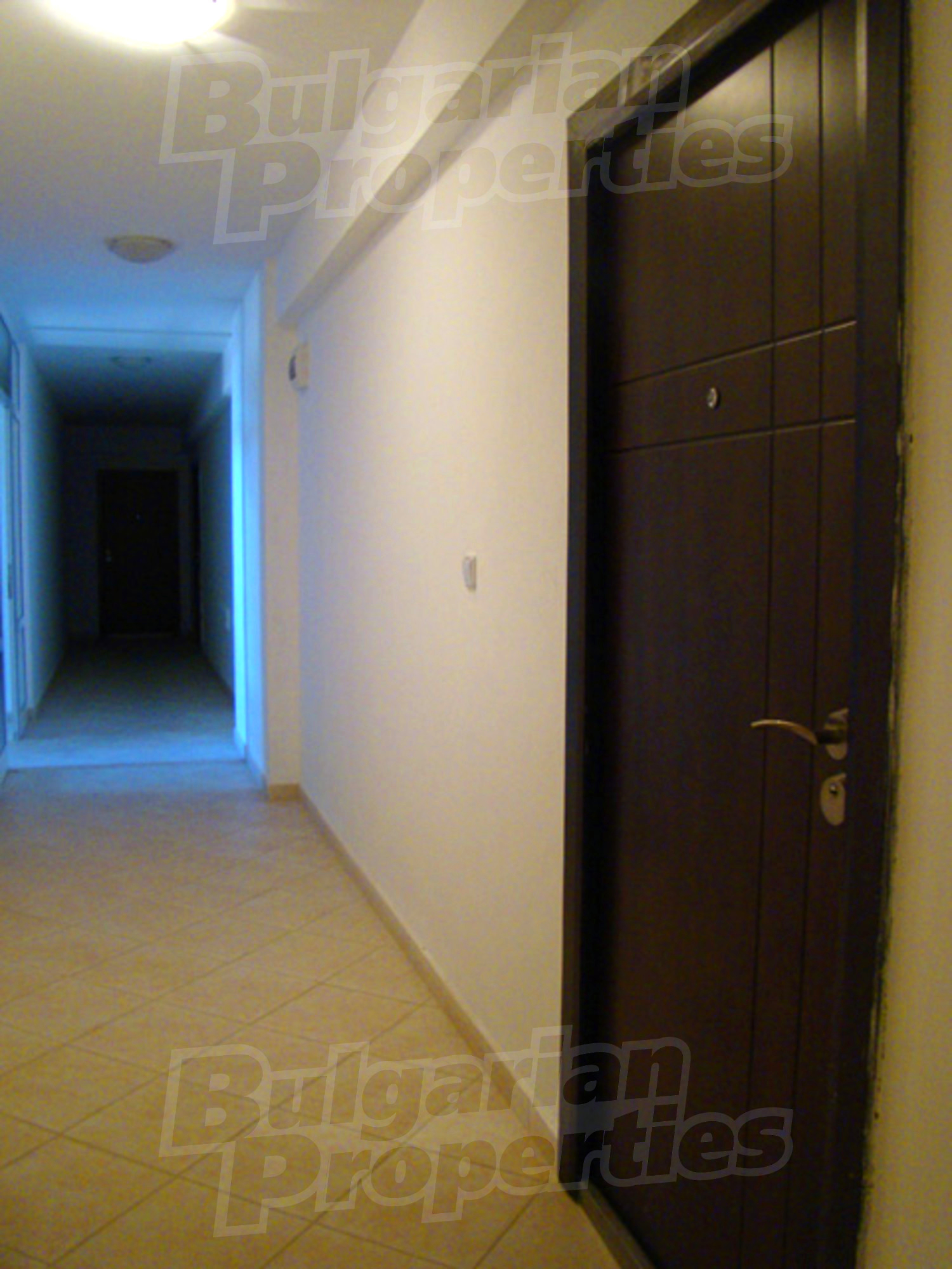 Gallery Picture 6