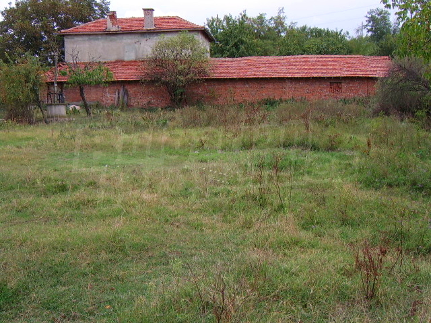 Gallery Picture 13