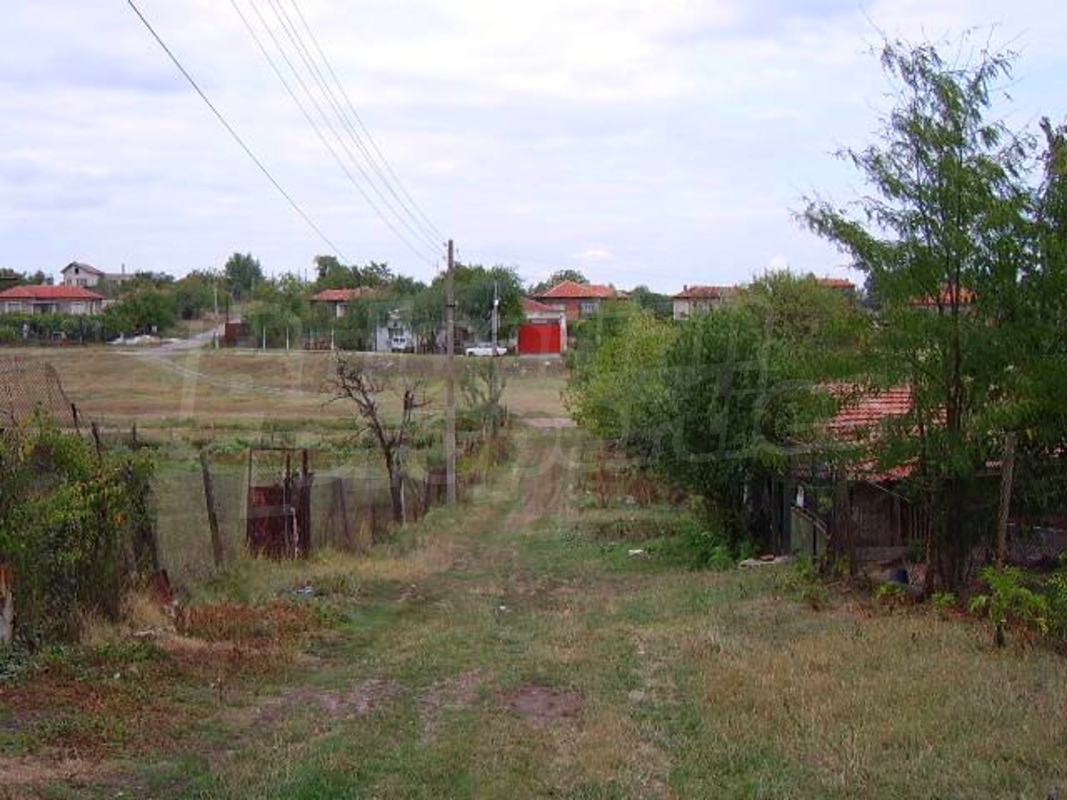 Gallery Picture 15
