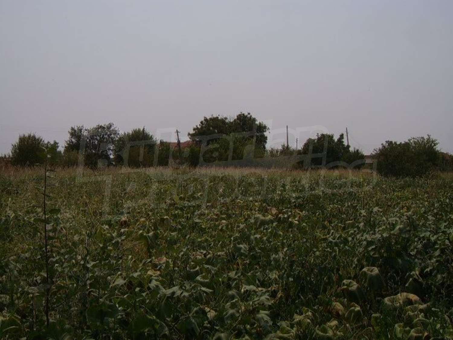 Gallery Picture 6