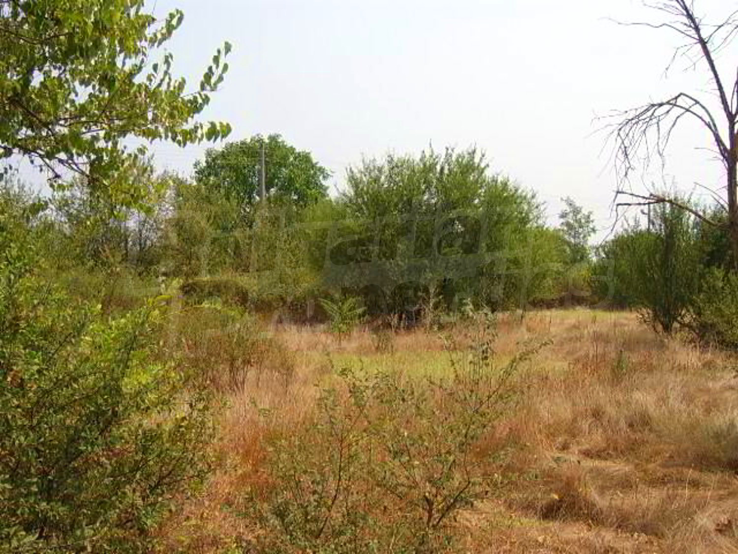 Gallery Picture 6