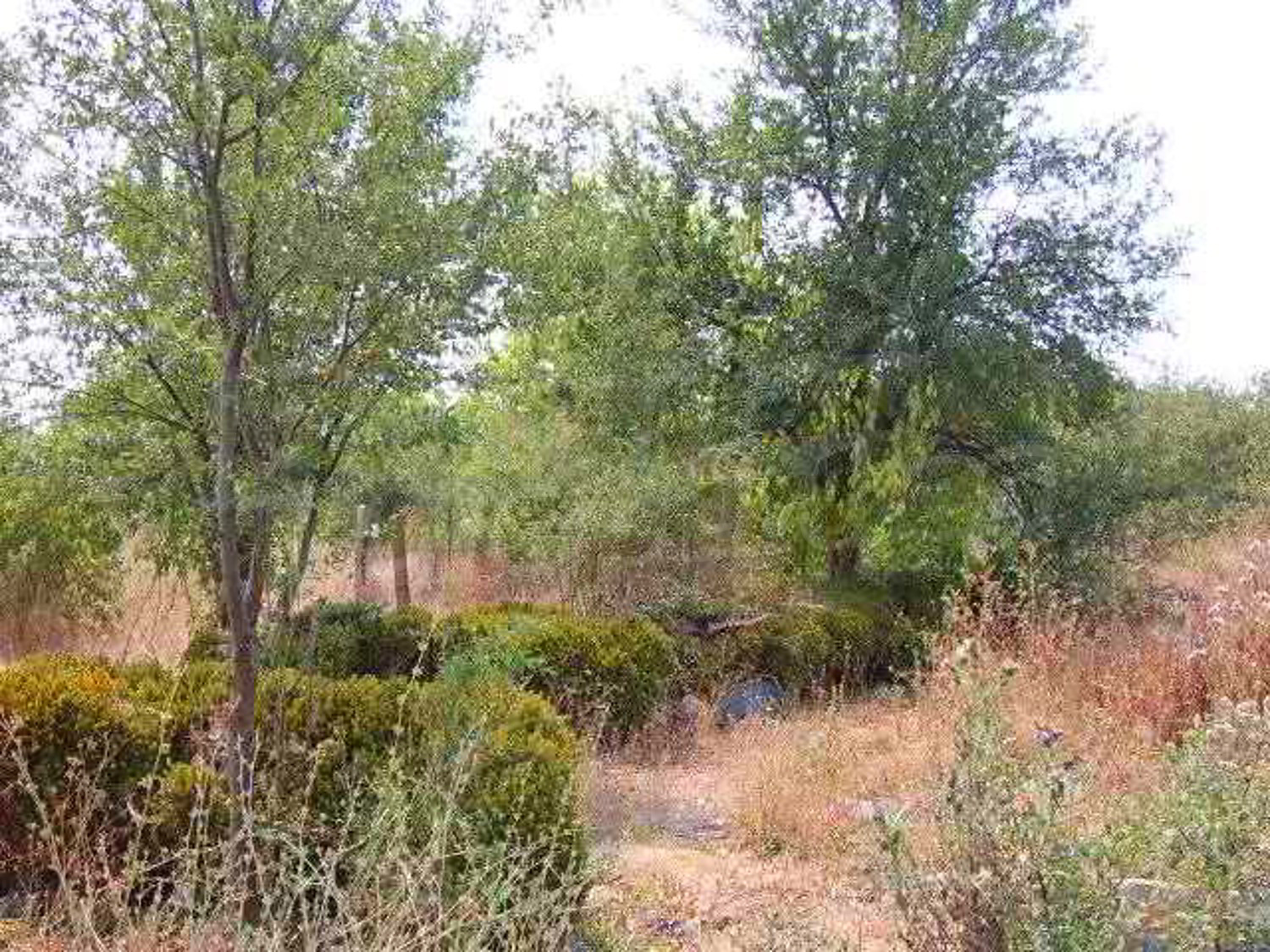Gallery Picture 7