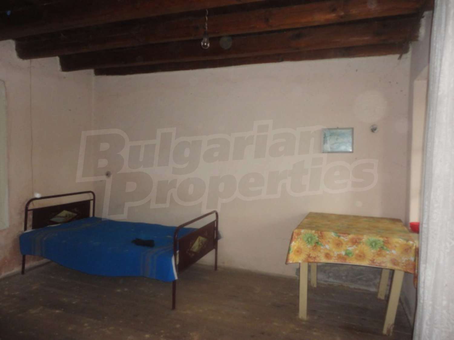 Gallery Picture 10