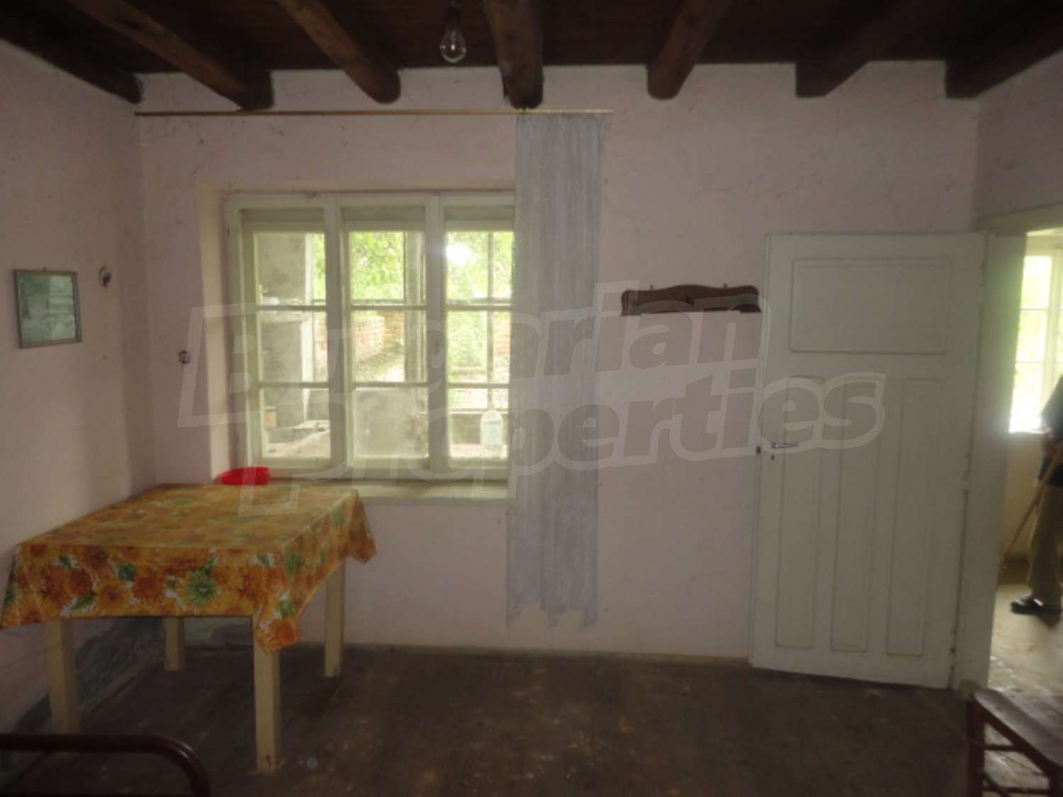 Gallery Picture 11