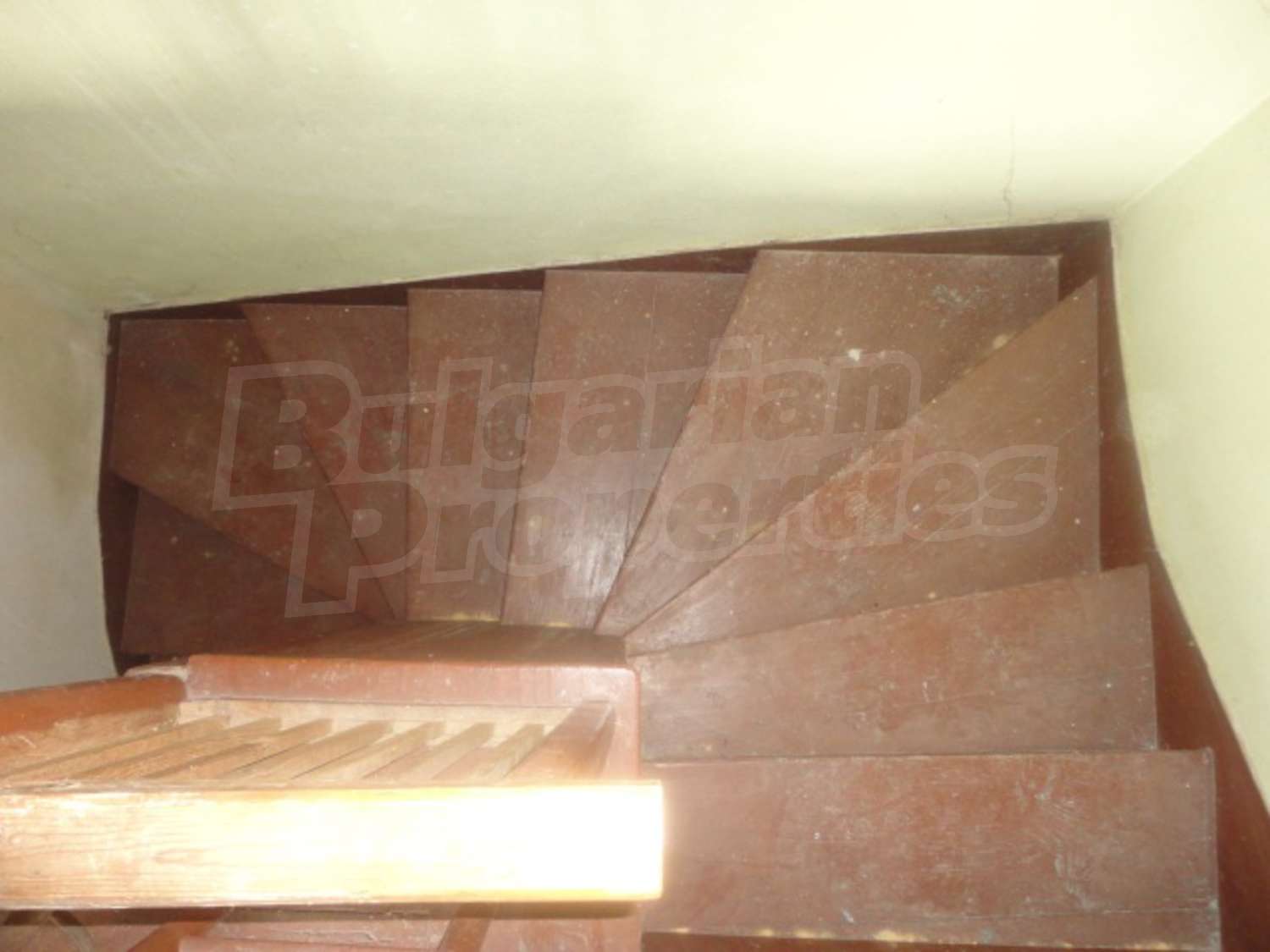 Gallery Picture 17