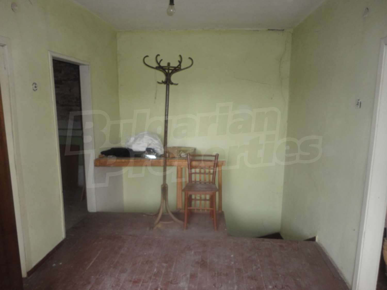 Gallery Picture 19