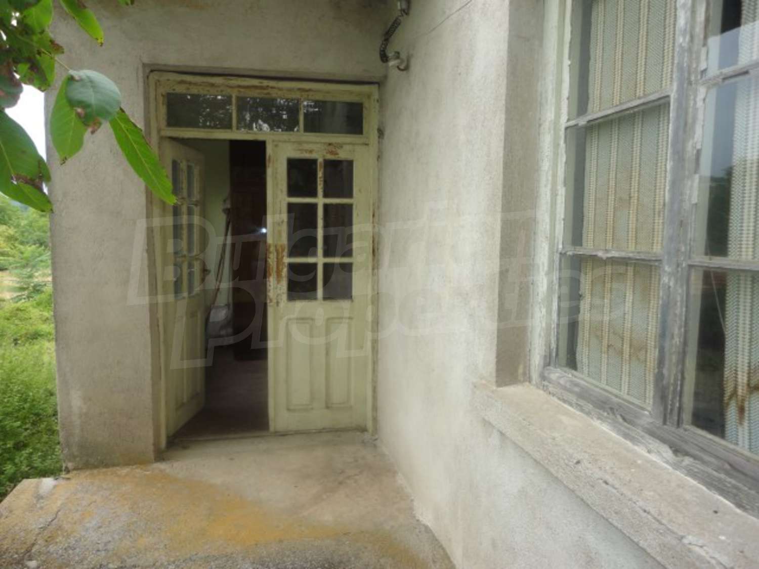 Gallery Picture 29