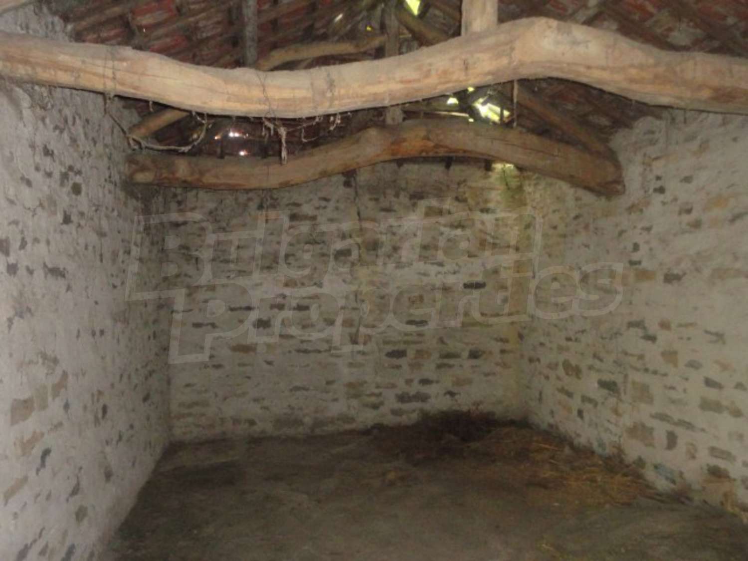 Gallery Picture 40