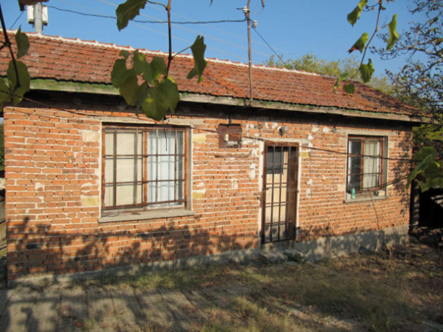Gallery Picture 6