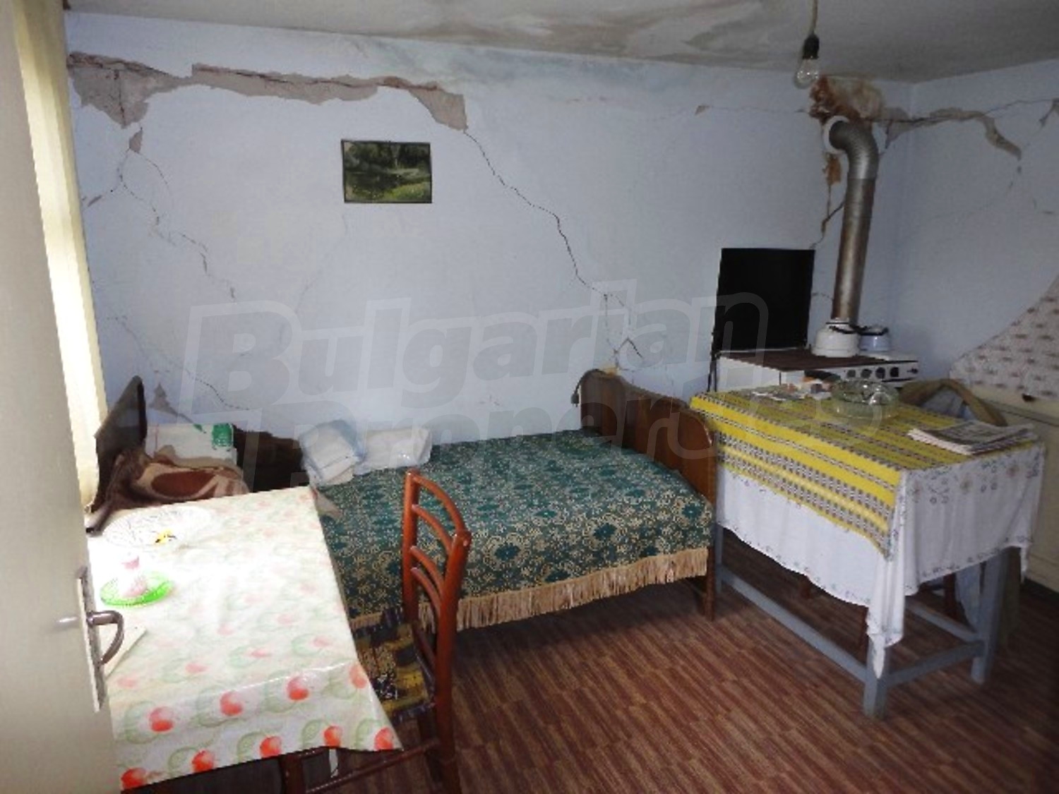 Gallery Picture 14