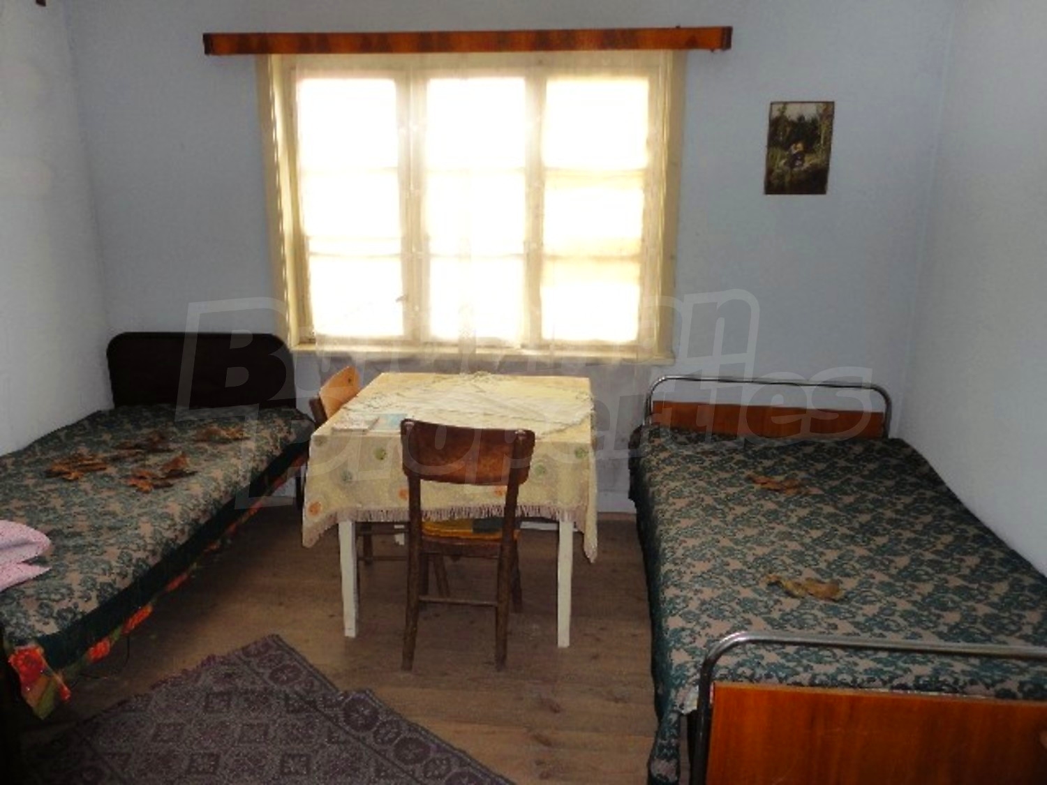 Gallery Picture 26