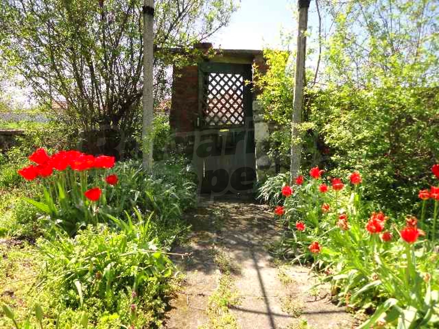 Gallery Picture 29