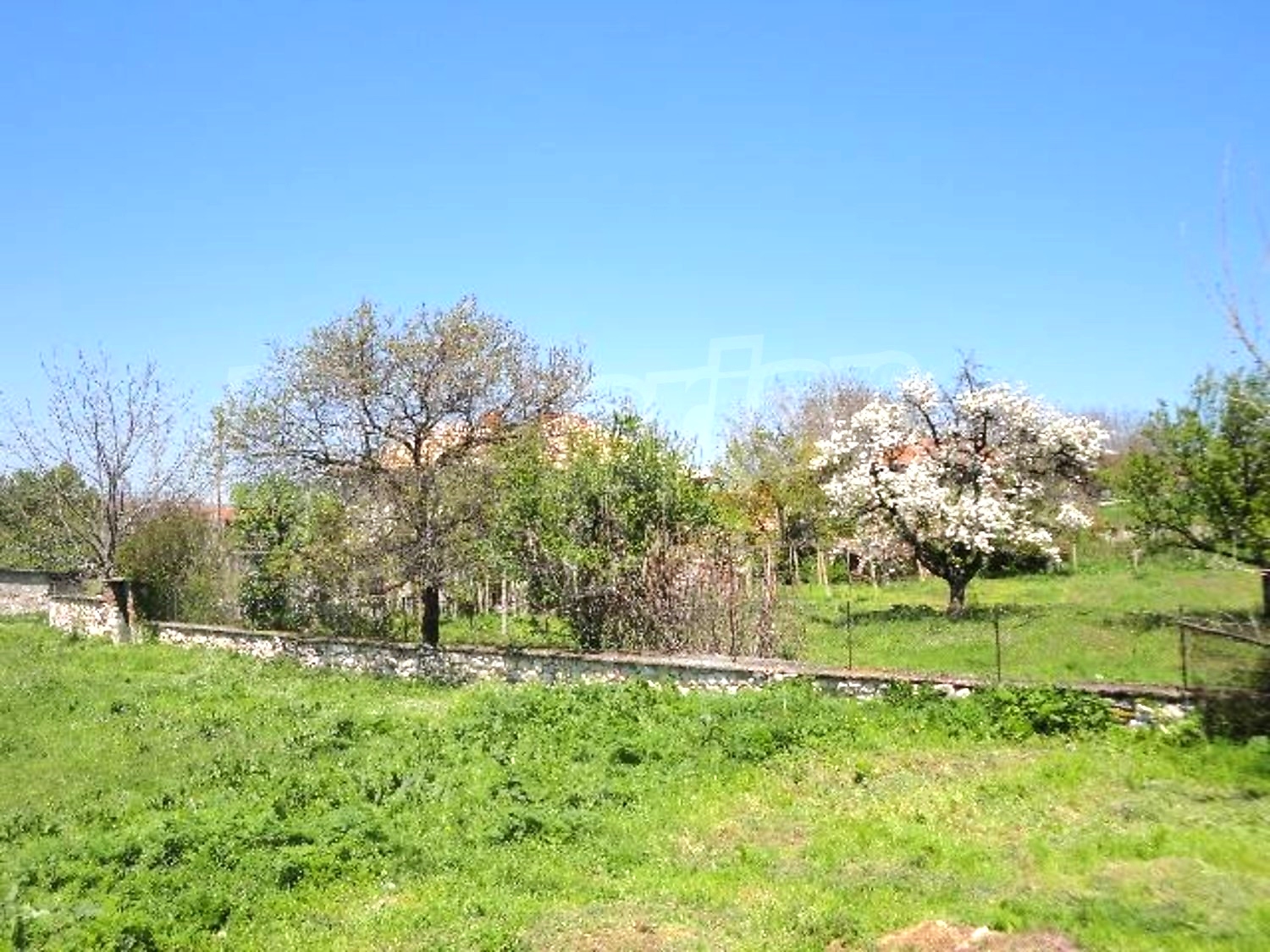 Gallery Picture 36