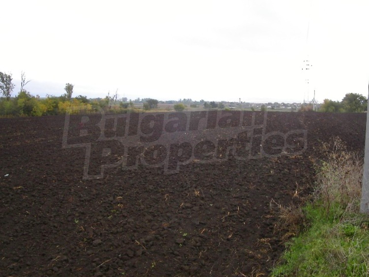 Gallery Picture 5