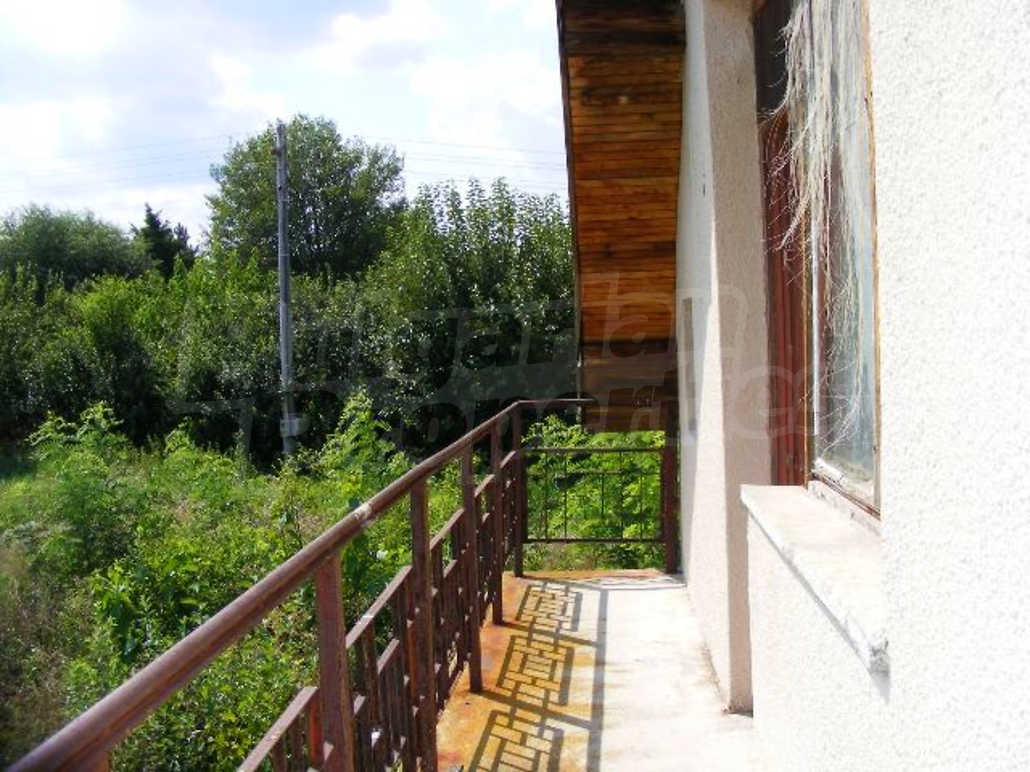 Gallery Picture 28