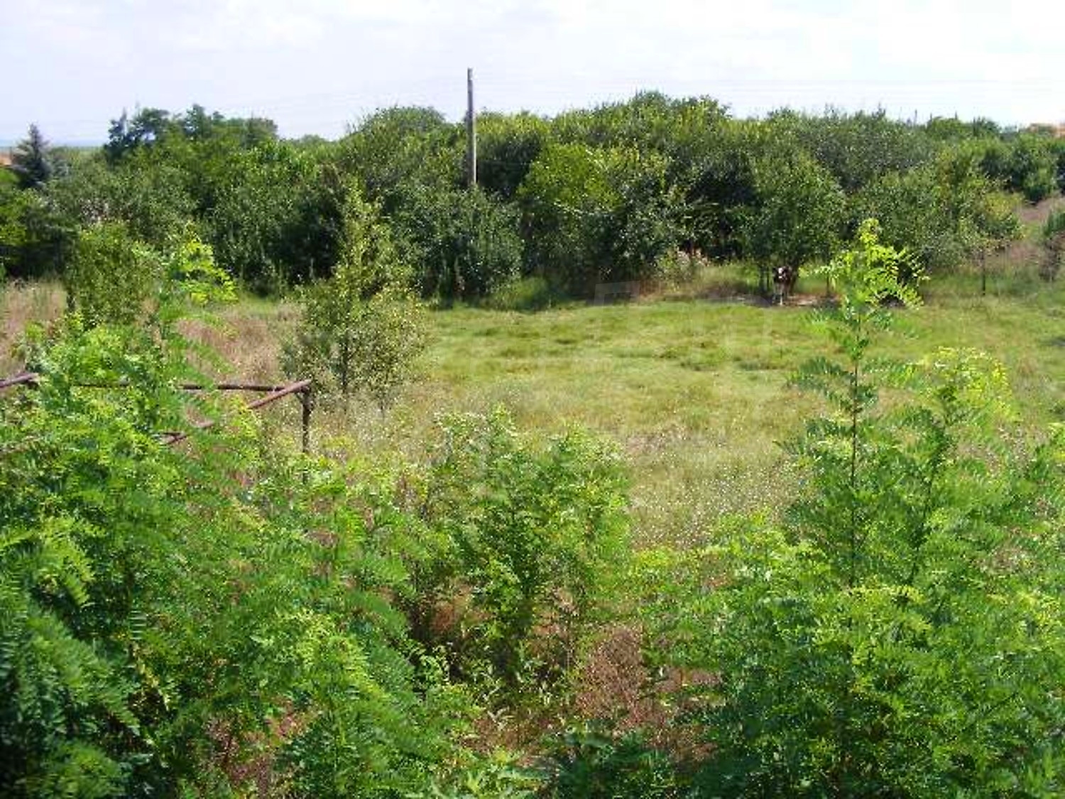 Gallery Picture 33