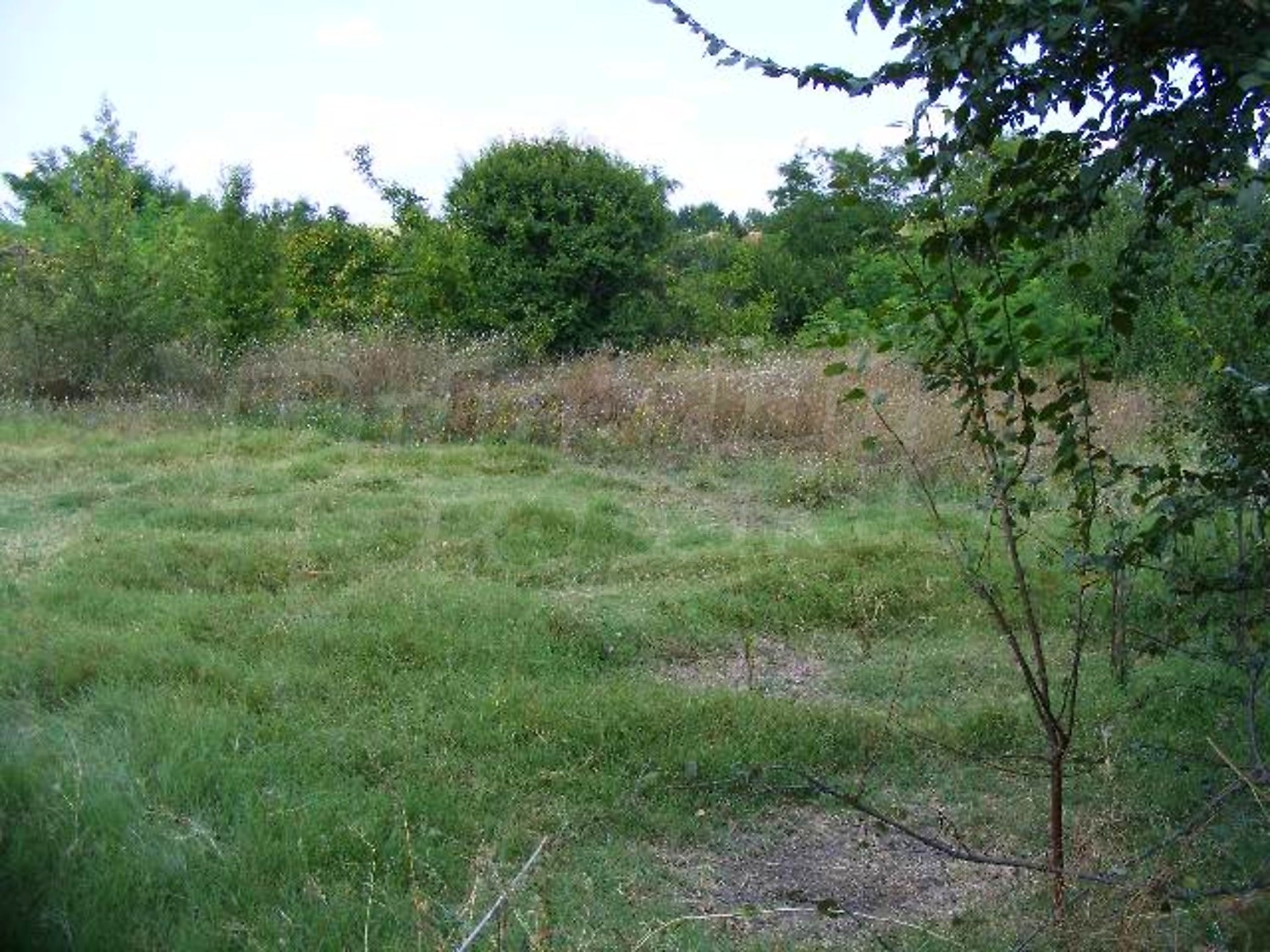 Gallery Picture 35