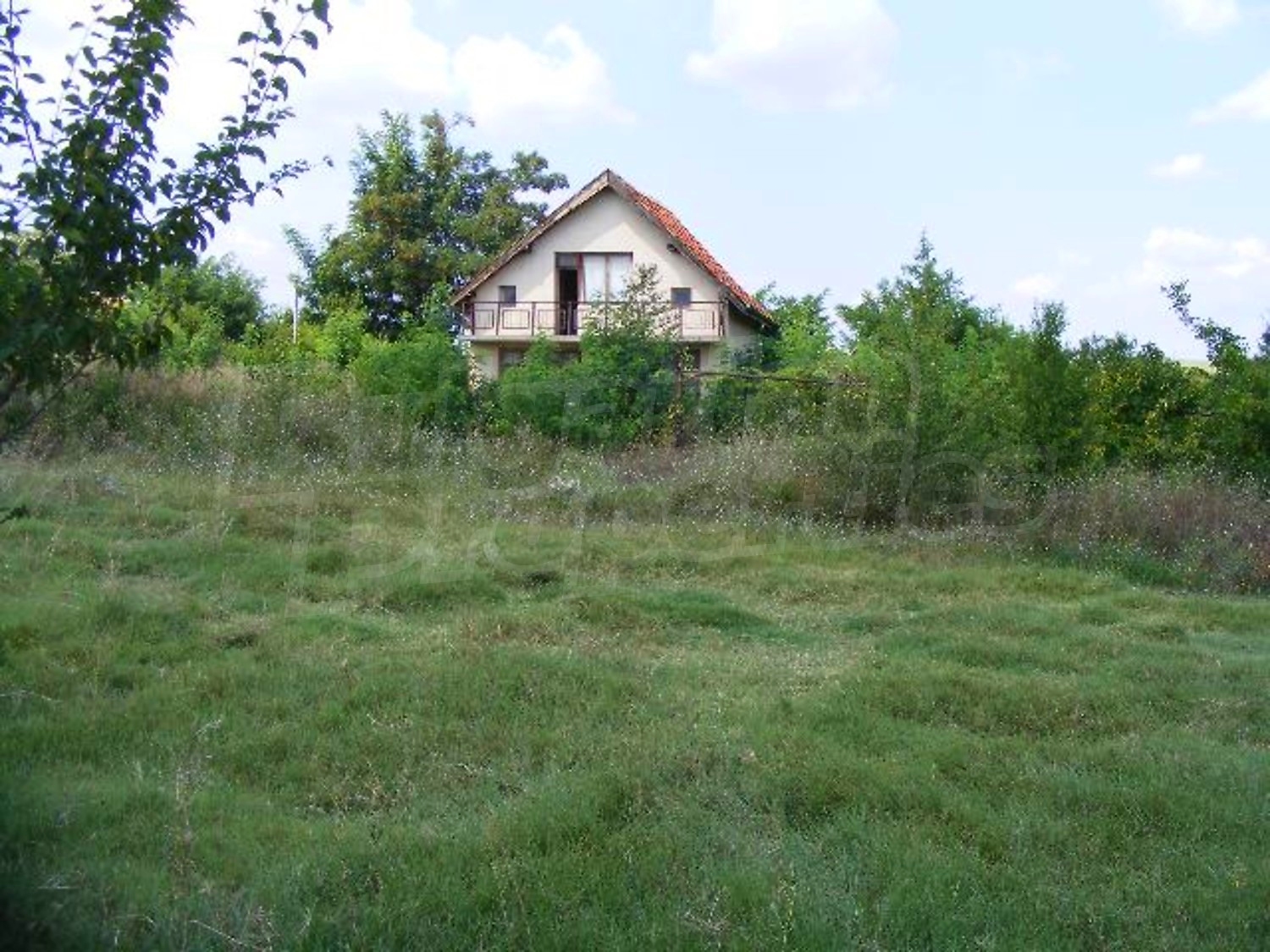 Gallery Picture 36