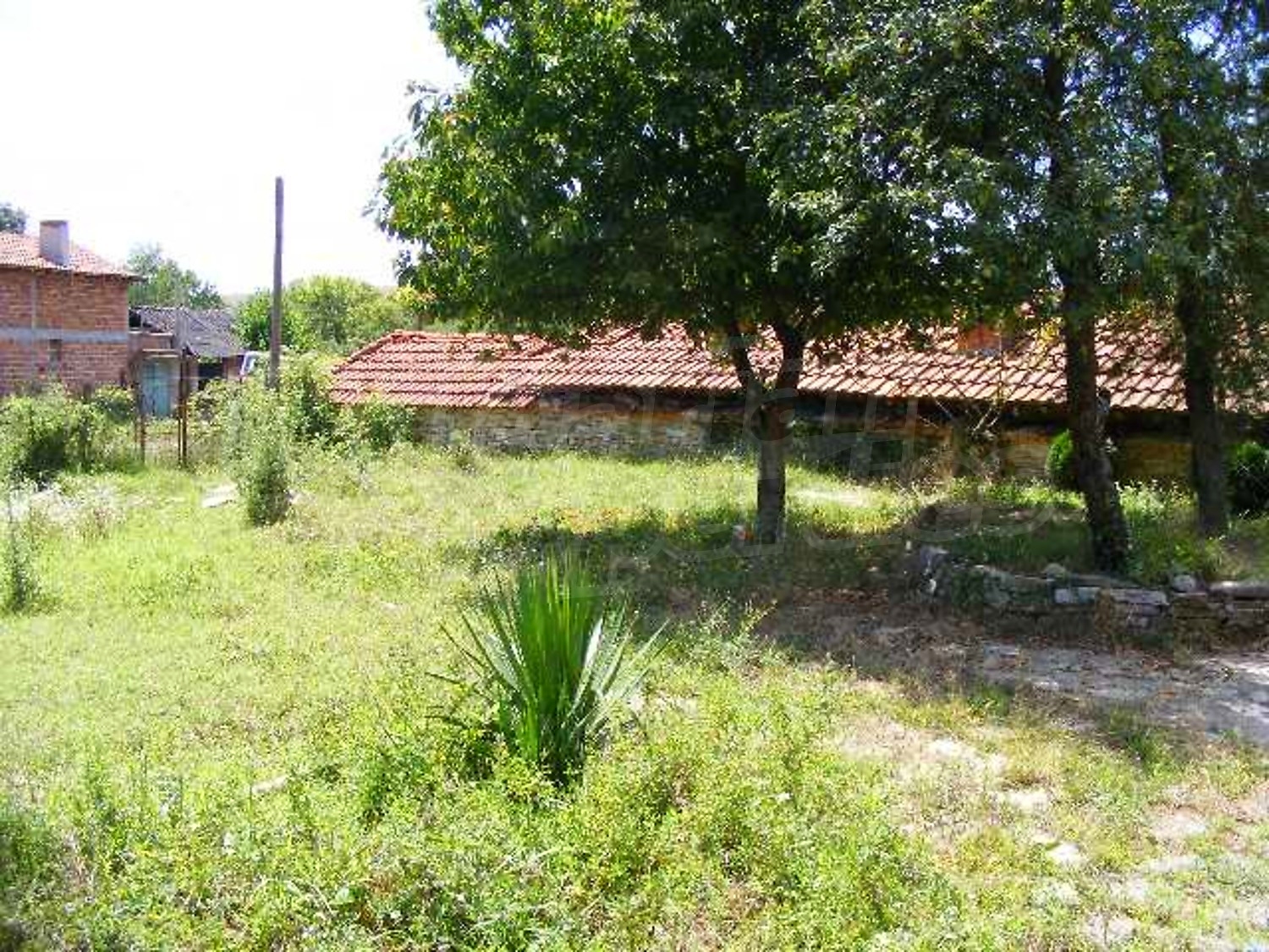 Gallery Picture 27