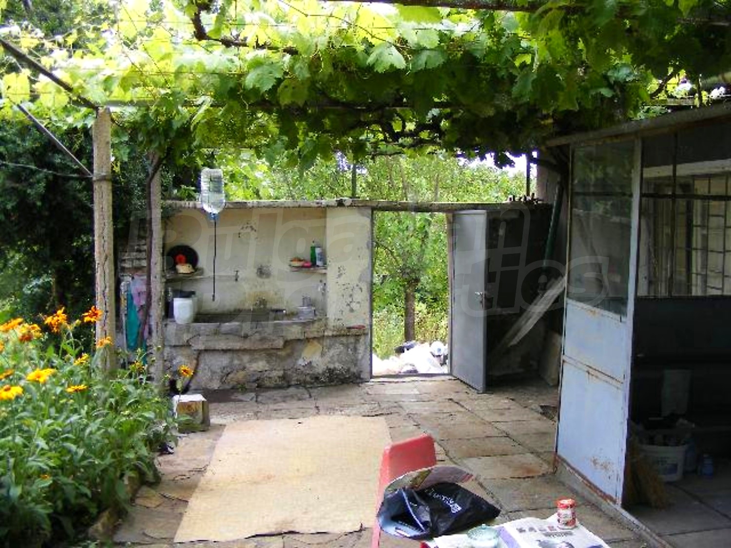 Gallery Picture 23