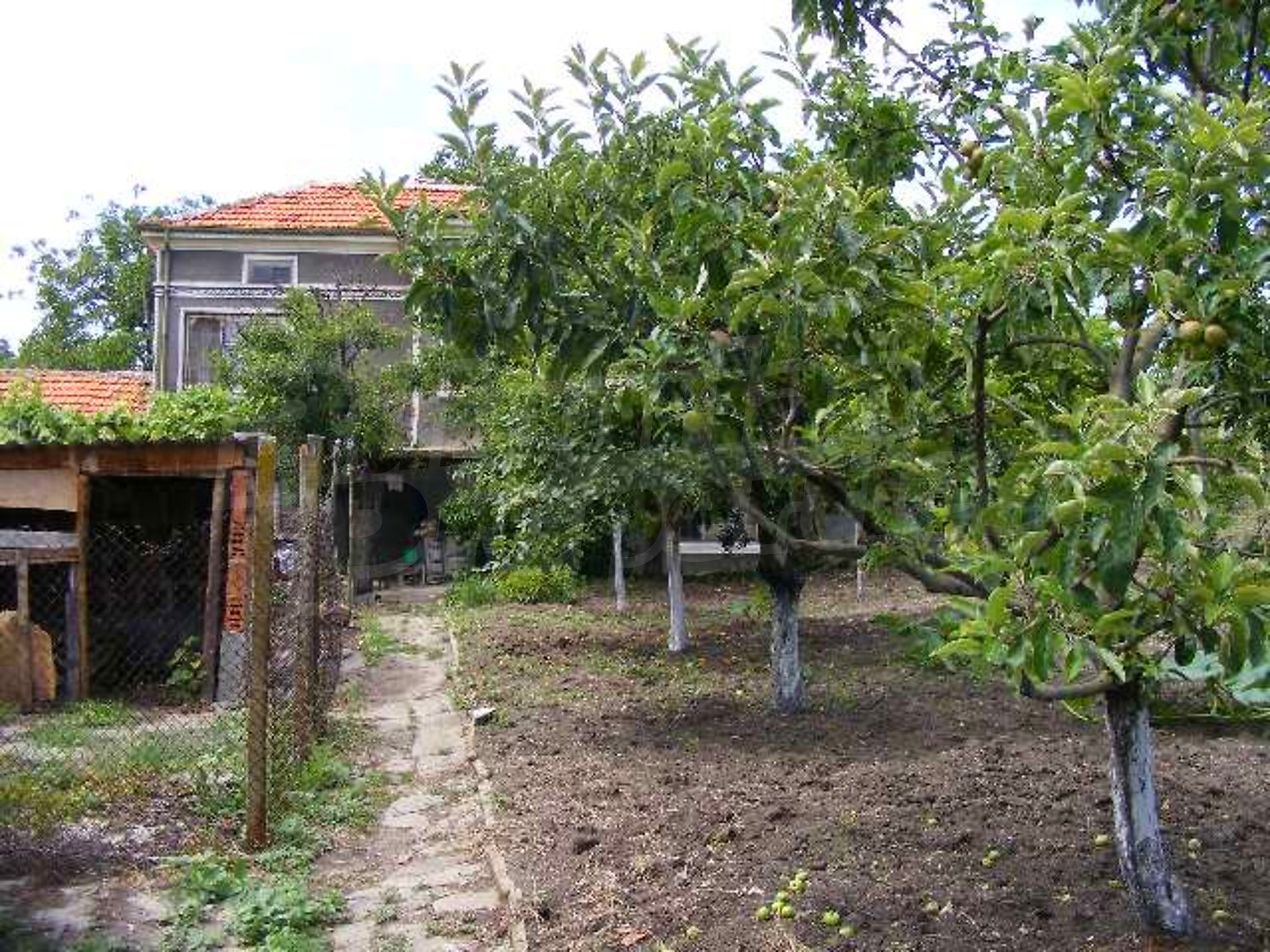 Gallery Picture 25