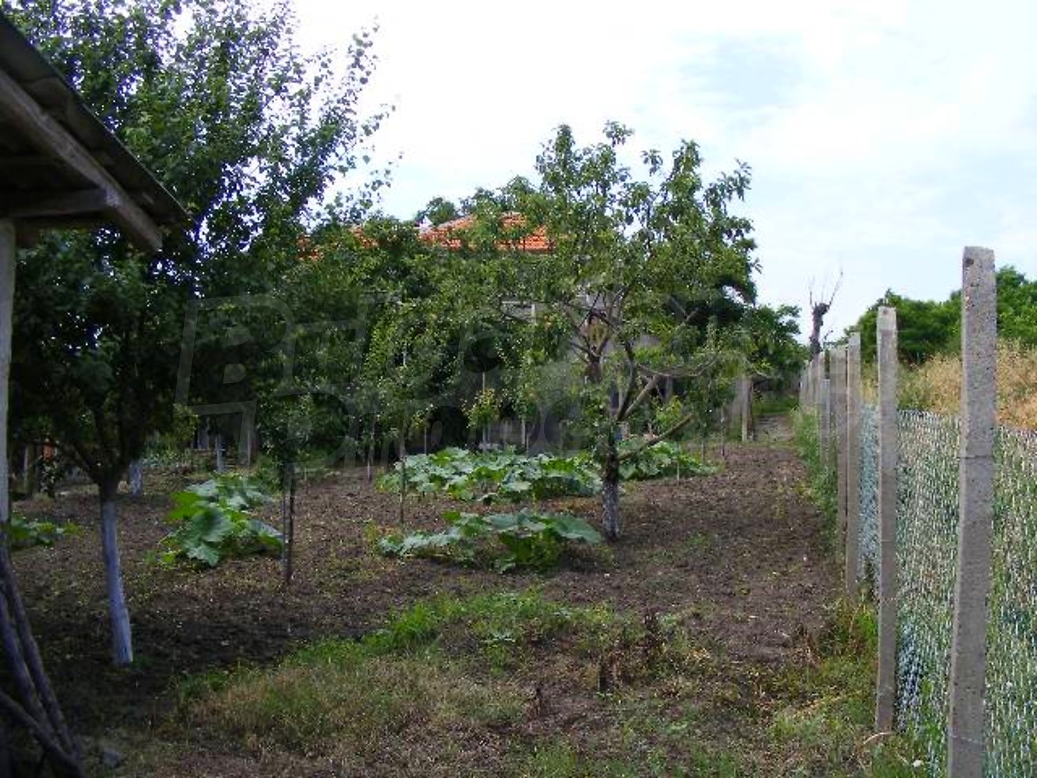 Gallery Picture 27