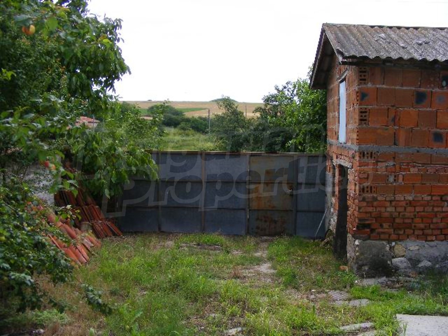 Gallery Picture 33