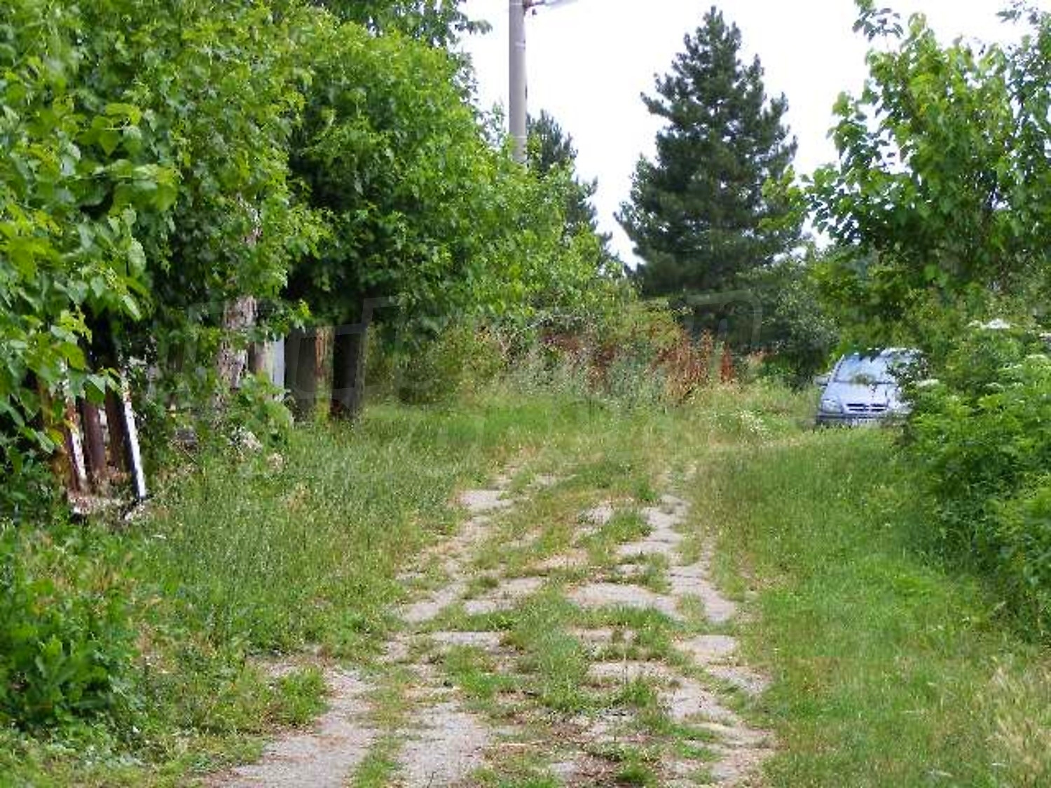 Gallery Picture 35