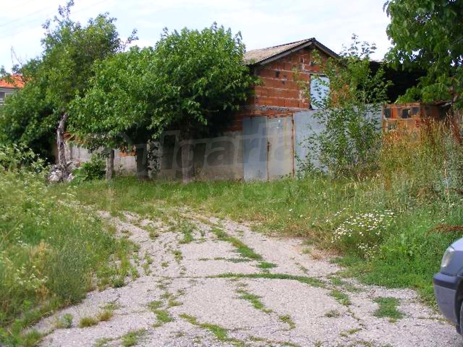 Gallery Picture 37