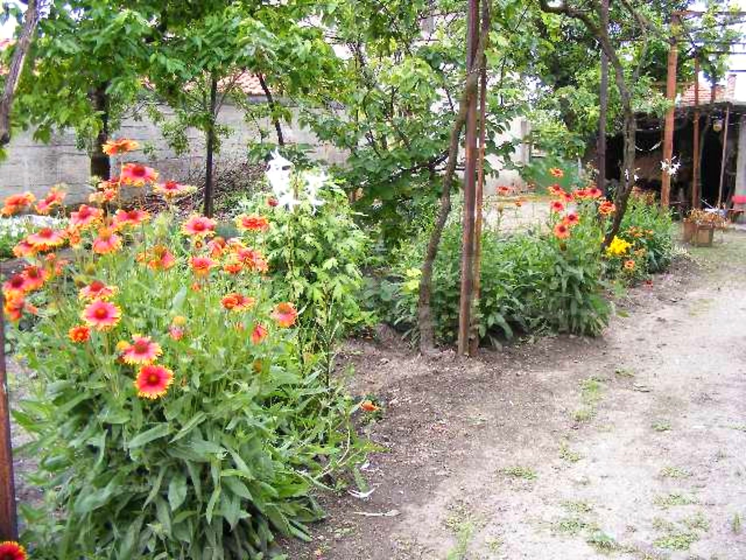 Gallery Picture 37