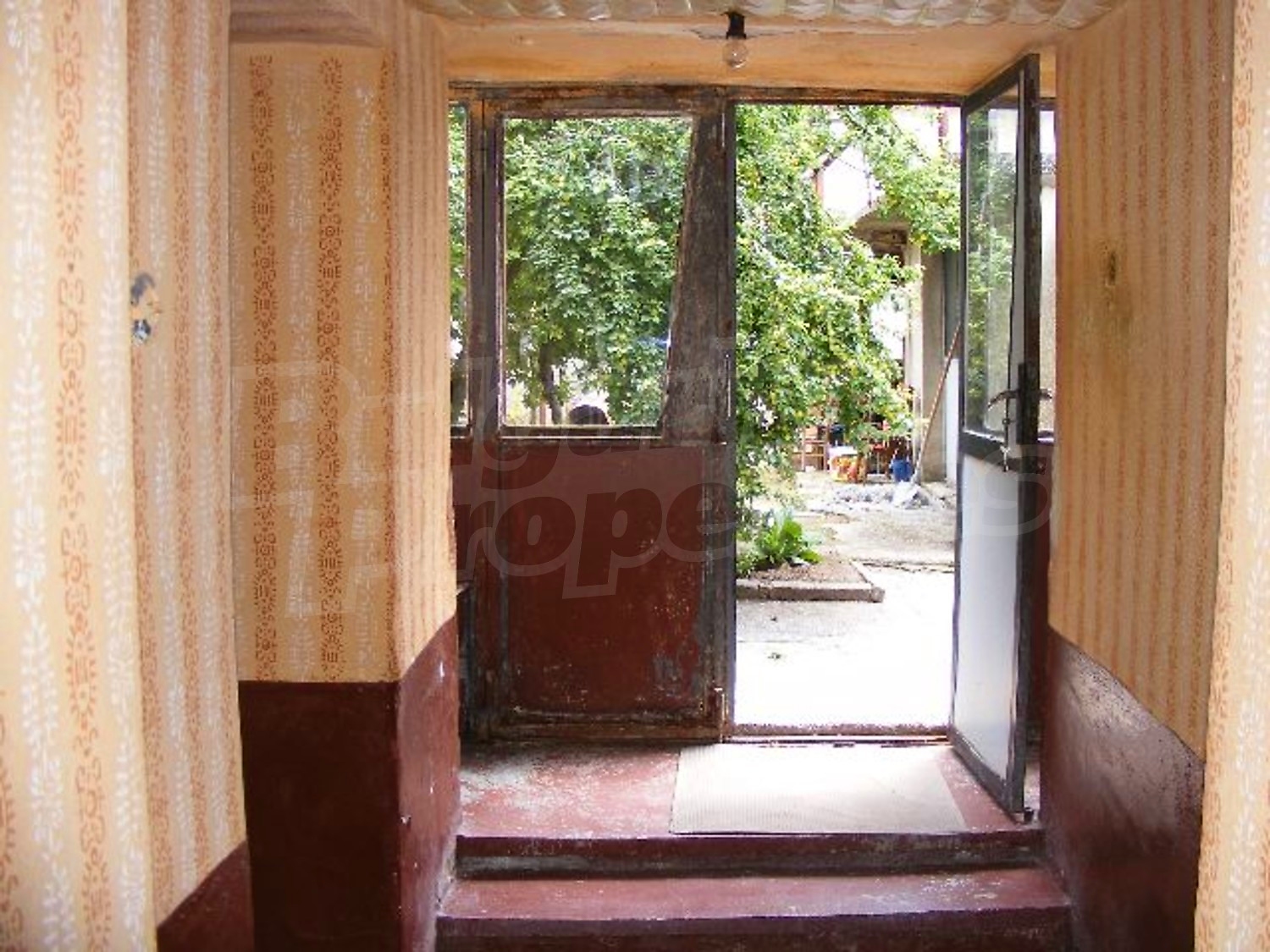 Gallery Picture 5