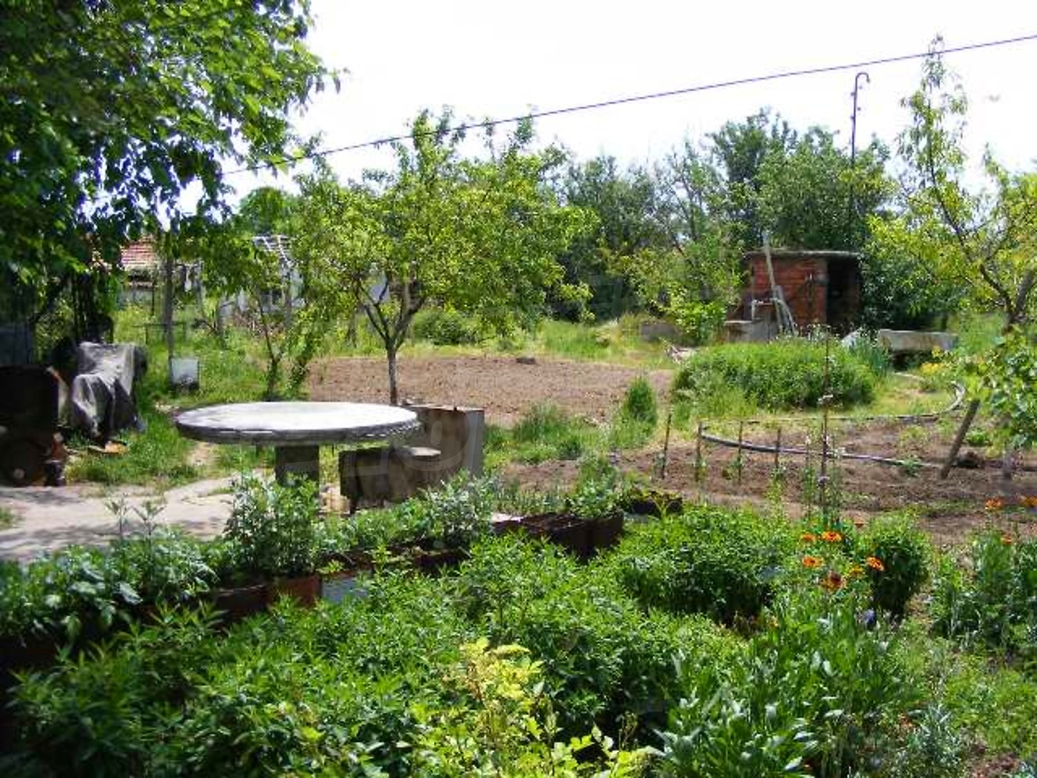 Gallery Picture 29