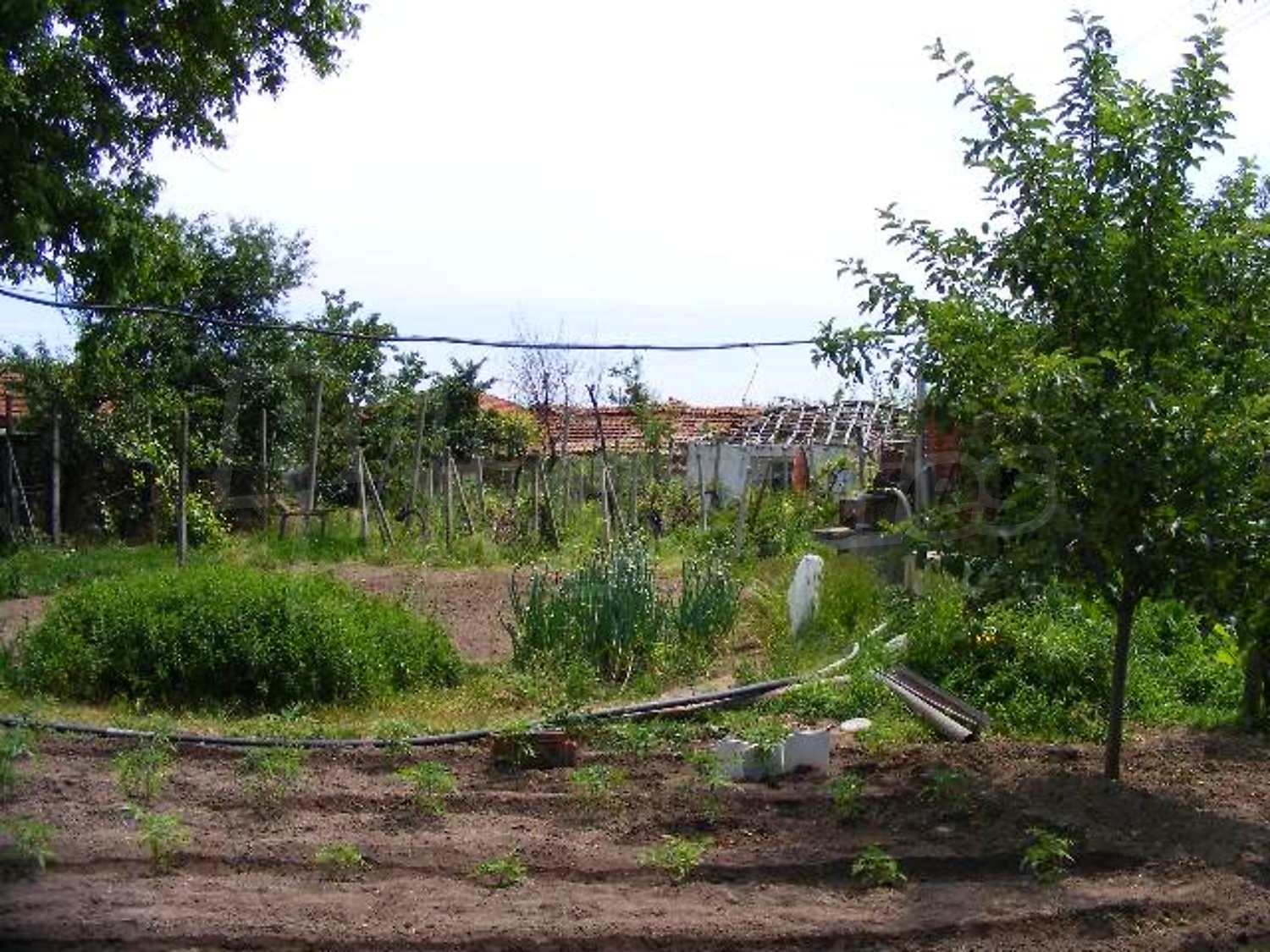 Gallery Picture 33