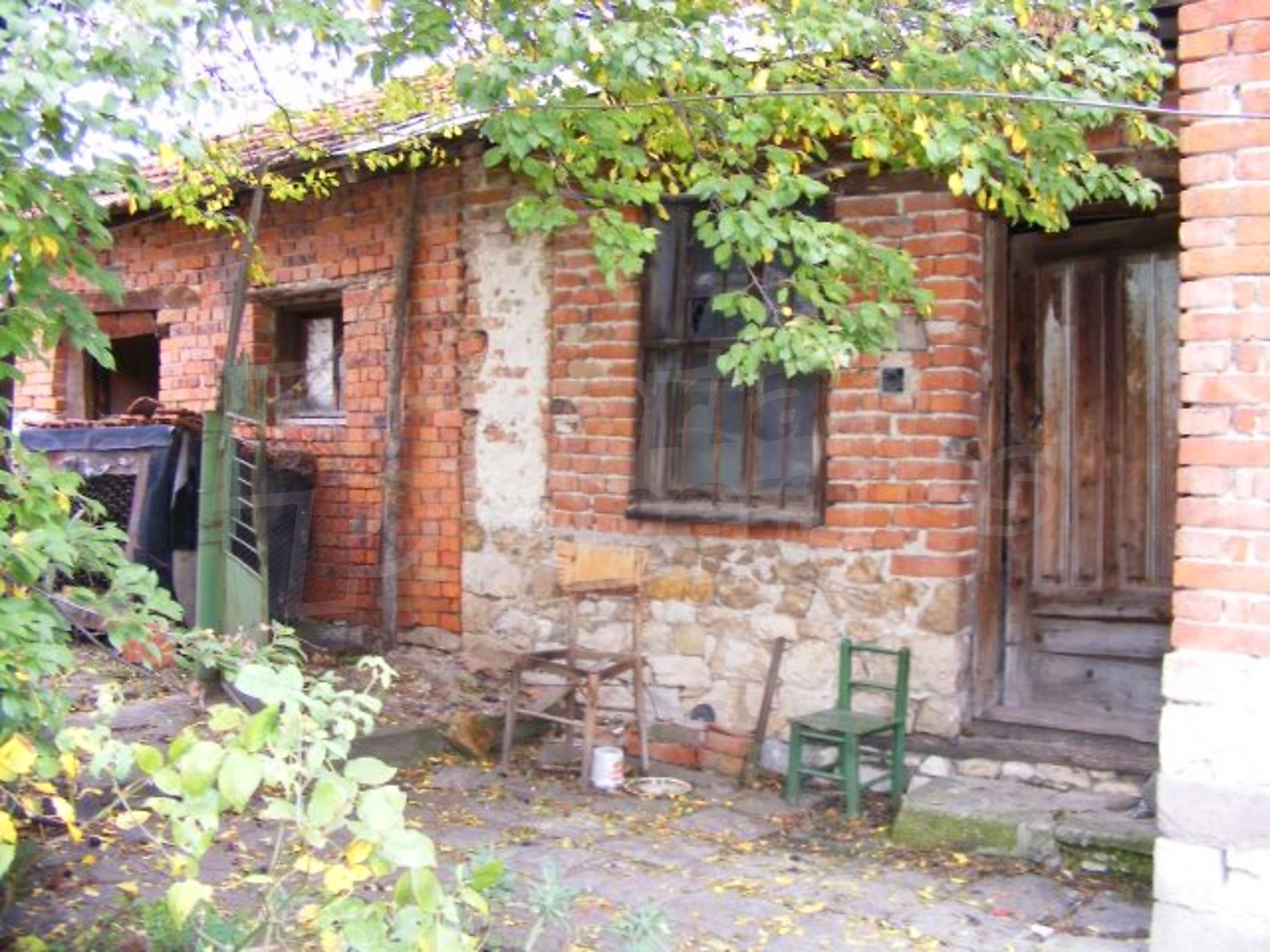 Gallery Picture 29