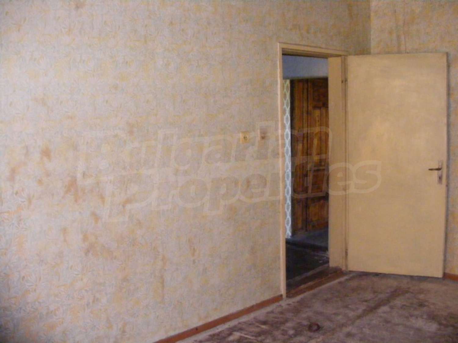 Gallery Picture 16